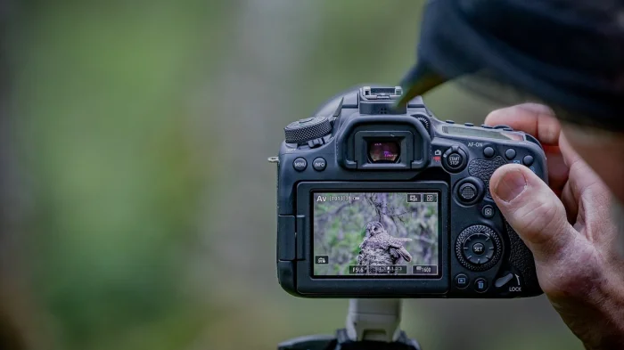Зеркальный фотоаппарат Canon EOS 90D Body Зеркальный фотоаппарат Canon EOS 90D Body