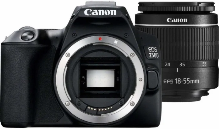 Canon EOS 250D — иллюстрация к статье